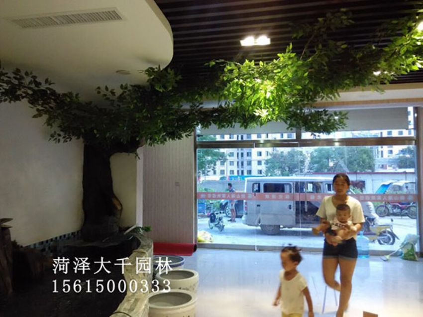 點擊查看詳細信息<br>標題：假樹 閱讀次數(shù)：1499