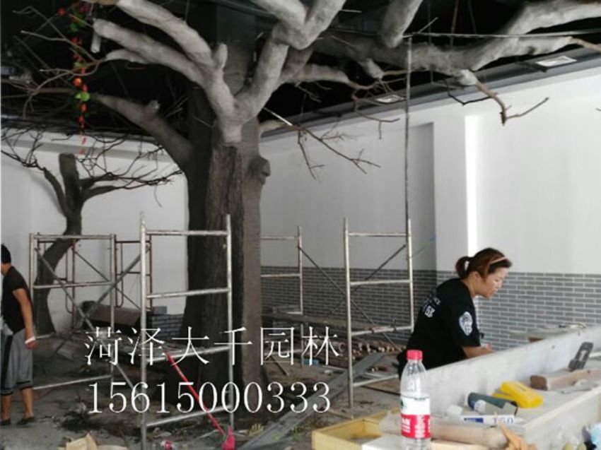 點(diǎn)擊查看詳細(xì)信息<br>標(biāo)題：假樹 閱讀次數(shù)：1476