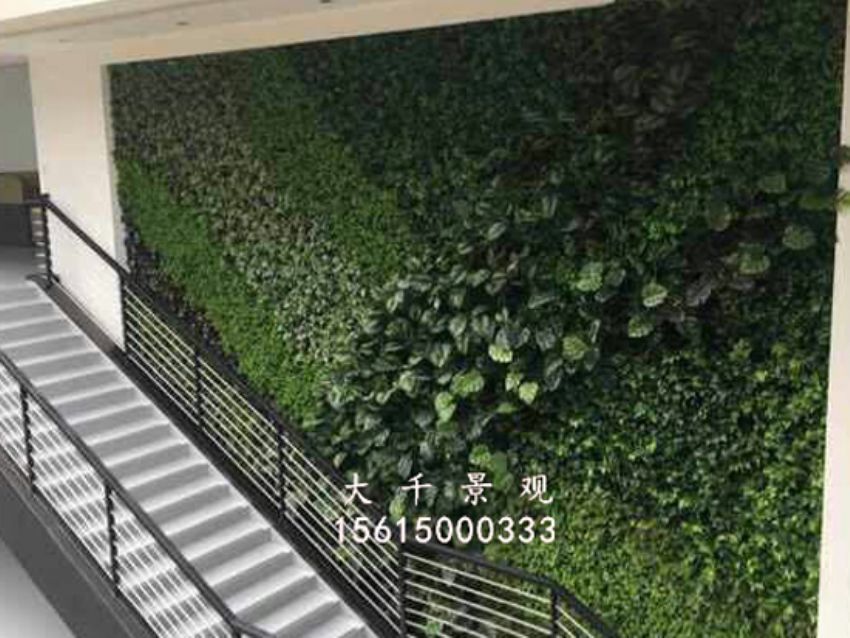 點擊查看詳細信息<br>標題：綠植墻 閱讀次數：1786