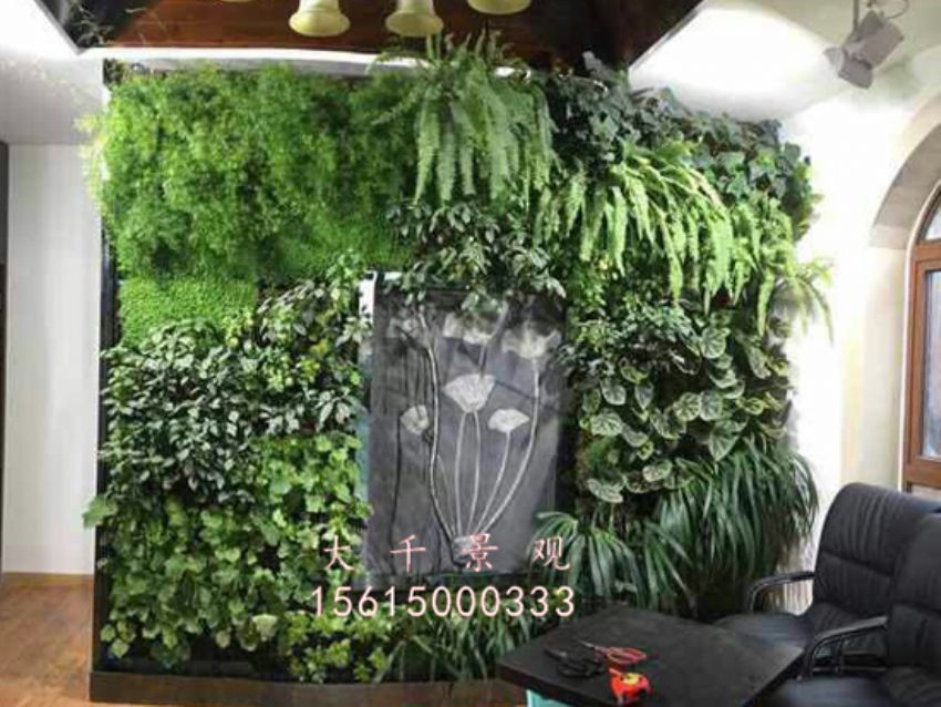 點擊查看詳細信息<br>標題：綠植墻 閱讀次數：1859