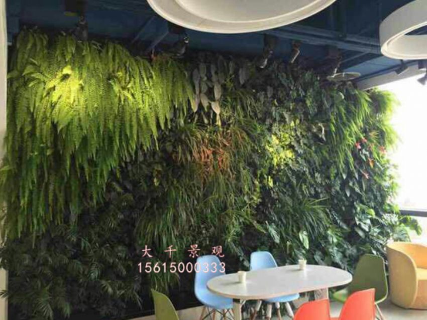 點擊查看詳細信息<br>標題：綠植墻 閱讀次數：2063