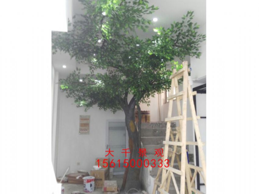 點擊查看詳細信息<br>標題：瓷磚磁瓦 閱讀次數：2458