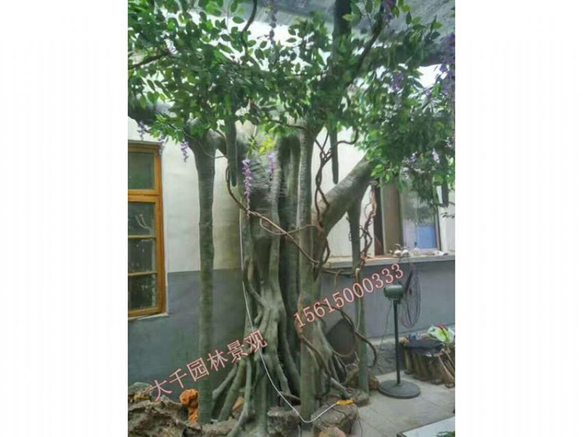 點擊查看詳細信息<br>標題：假樹 閱讀次數：2702